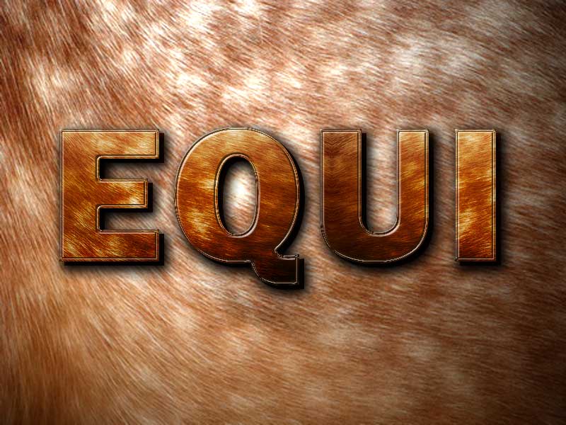 equi2
